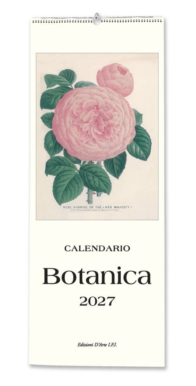 IFI 2027 Slim Calendar - Botanica