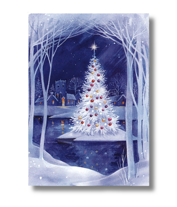 Small Boxed Christmas Cards - Christmas Island