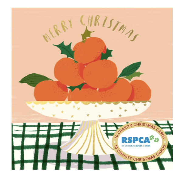 Christmas Card Wallet - RSPCA - Bowl of Delights