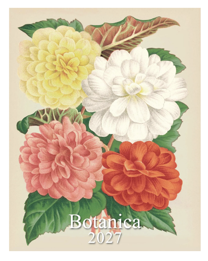 IFI 2027 Desk Calendar - Botanica
