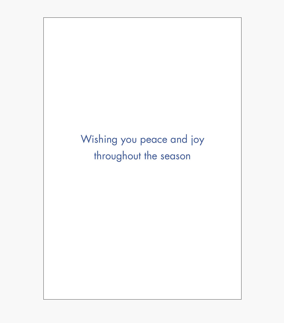 Small Boxed Christmas Cards - Dove and Stardust