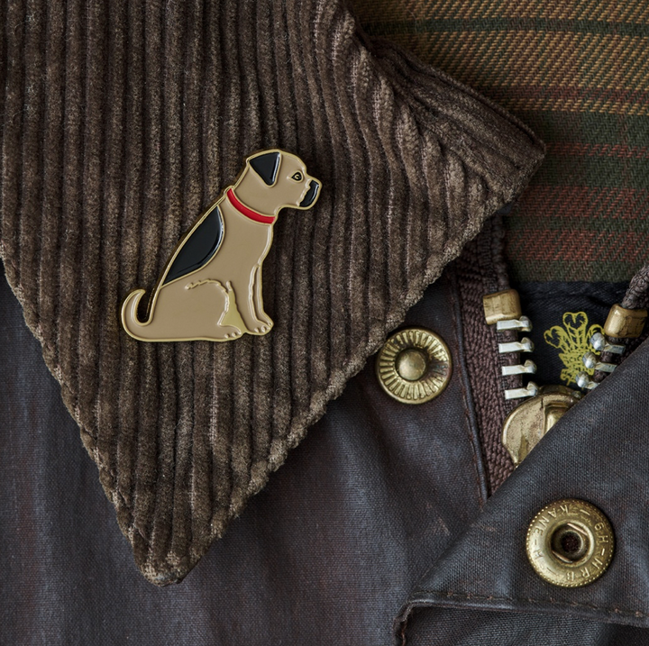 Dog Pin -  Border Terrier