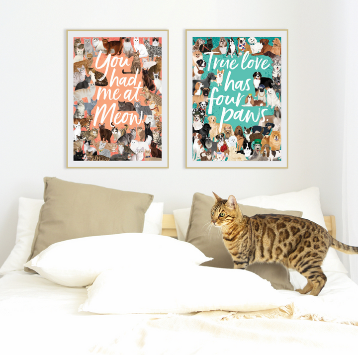1000 Piece Puzzle - Meow