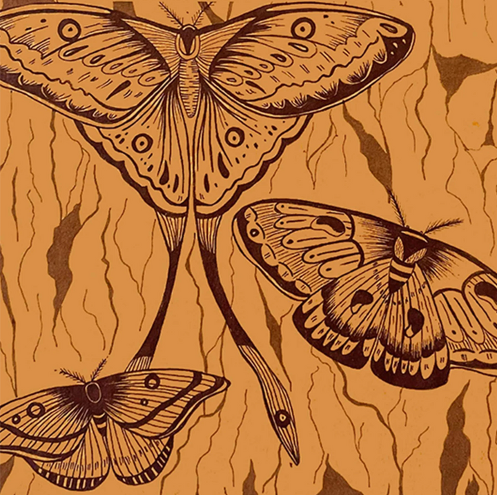 Decomposition Book - Large Notebook - Ruled - Midnight Moths