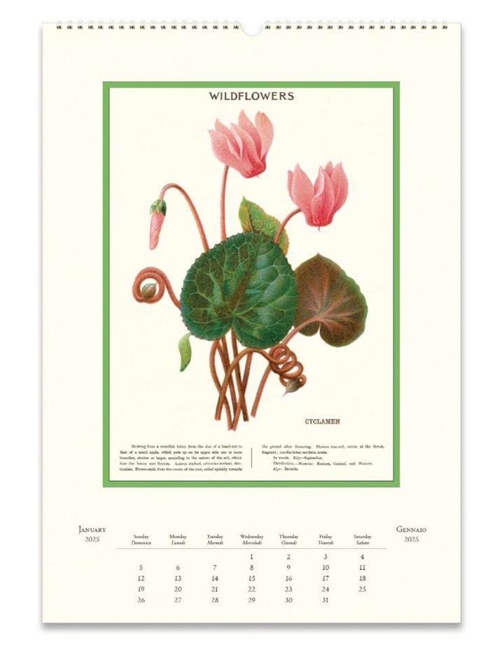 Cavallini 2025 Wall Calendar - Wildflowers