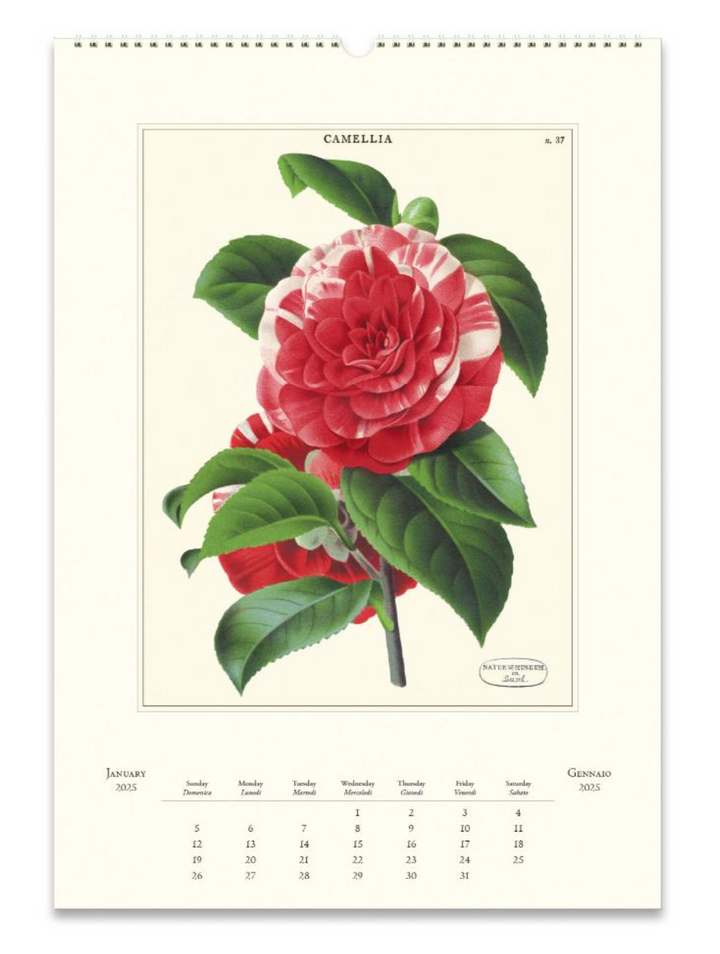 Cavallini 2025 Wall Calendar - Botanica