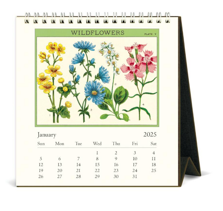 Cavallini 2025 Desk Calendar - Wildflowers