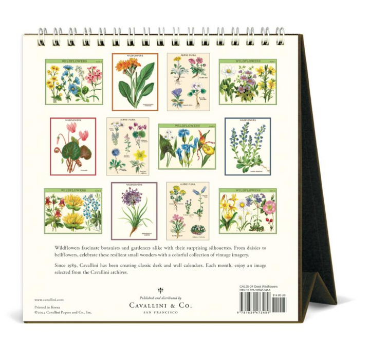 Cavallini 2025 Desk Calendar - Wildflowers