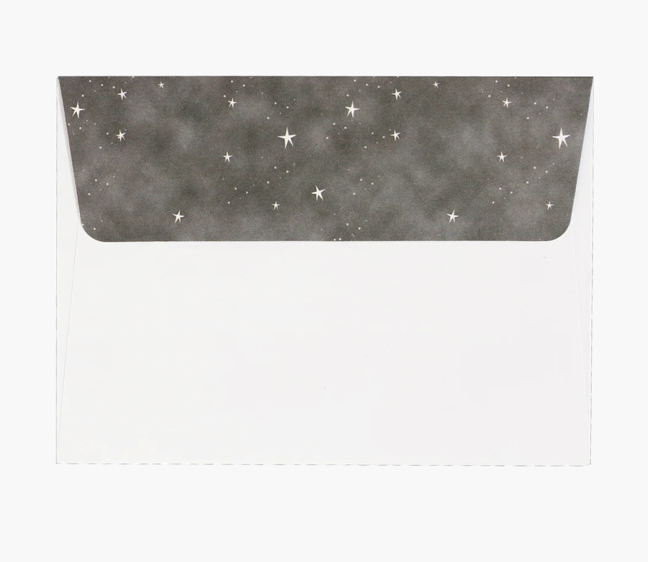 Small Boxed Christmas Cards - Starry Night Owl