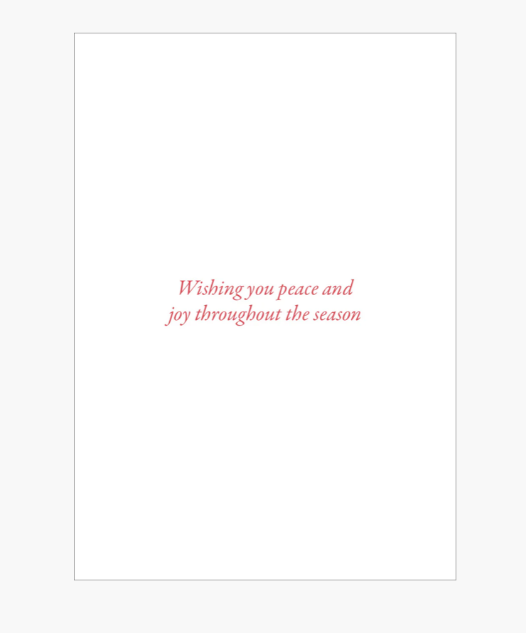 Small Boxed Christmas Cards - Starry Night Owl