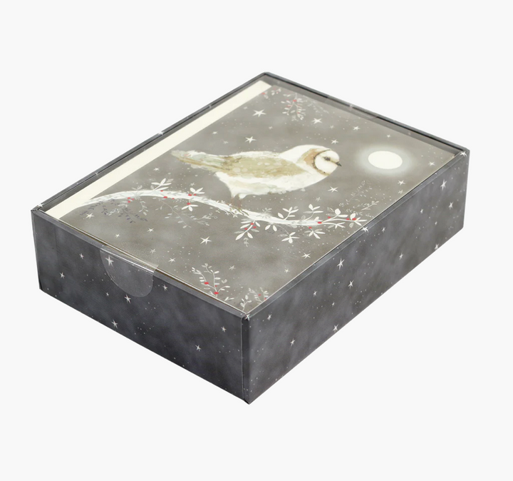 Small Boxed Christmas Cards - Starry Night Owl