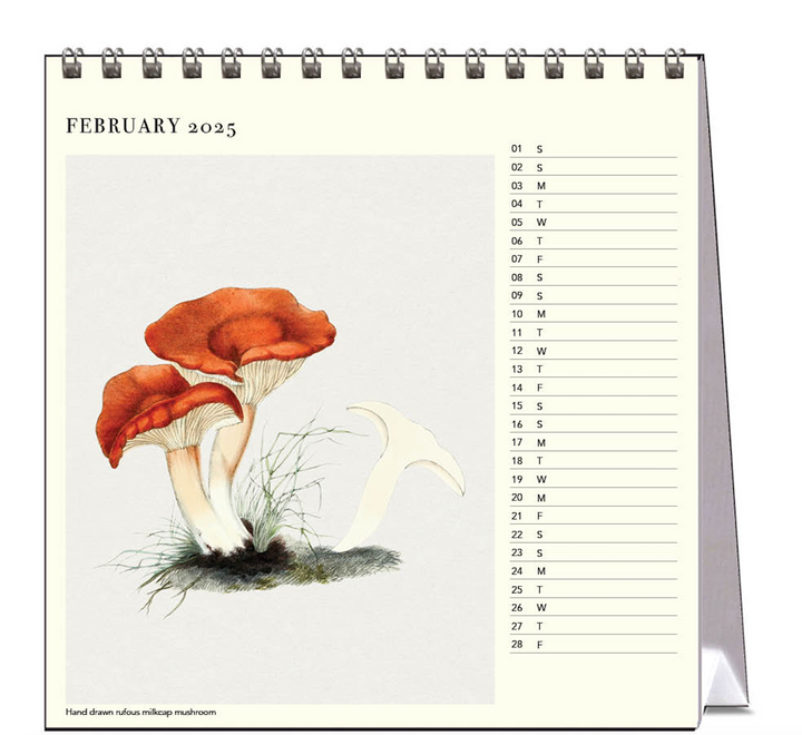Hello Sunday 2025 Desk Calendar - Mushrooms