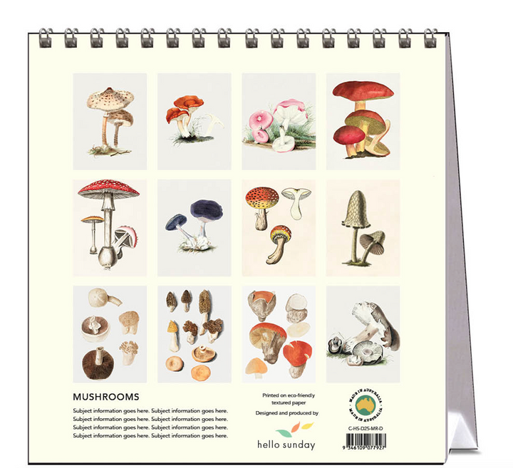 Hello Sunday 2025 Desk Calendar - Mushrooms