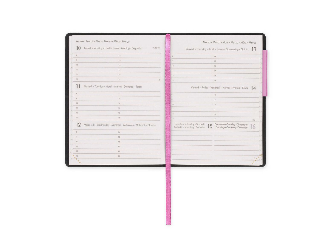 2025 Medium Weekly Diary With Notebook - Bubblegum