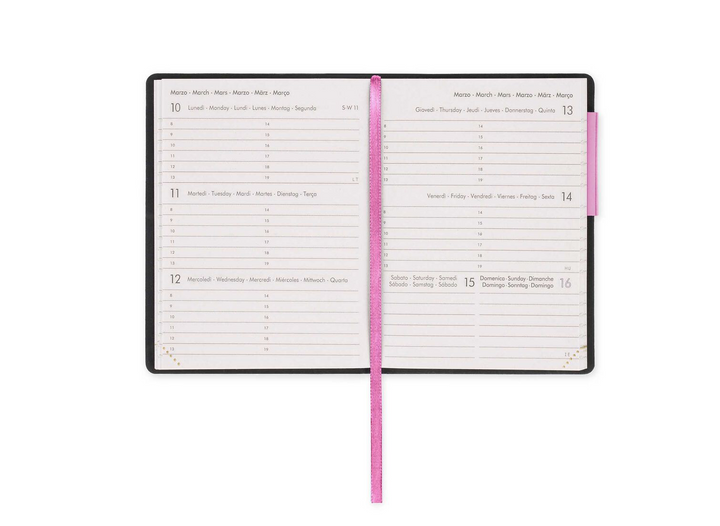 2025 Medium Weekly Diary With Notebook - Bubblegum