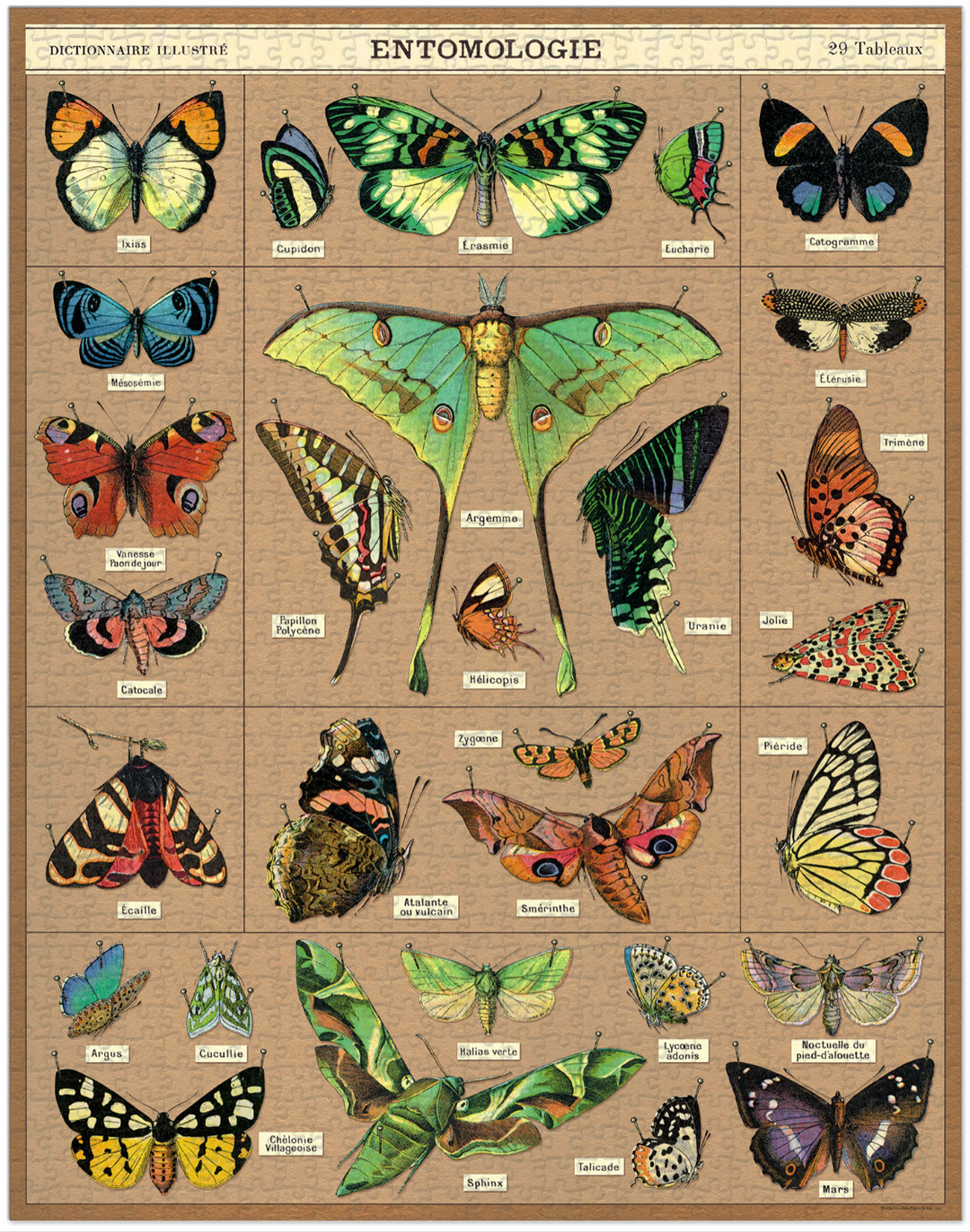 Cavallini & Co 1000 Piece Puzzle - Entomology