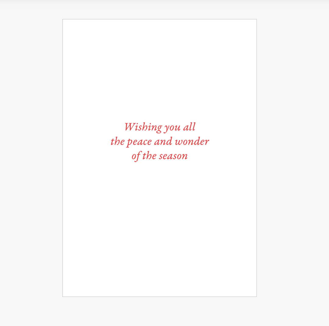 Small Boxed Christmas Cards - English Robins in Snow