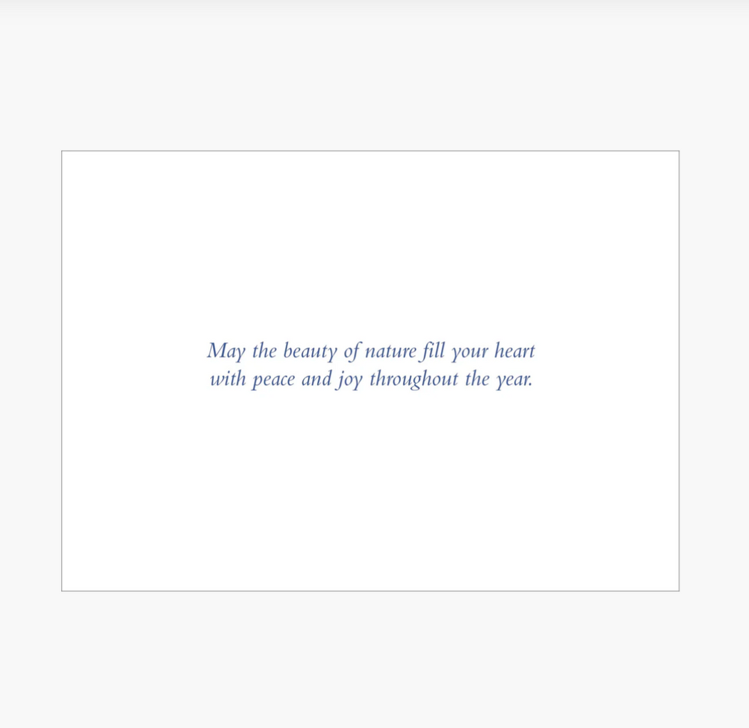 Deluxe Boxed Christmas Cards - Winter's Song