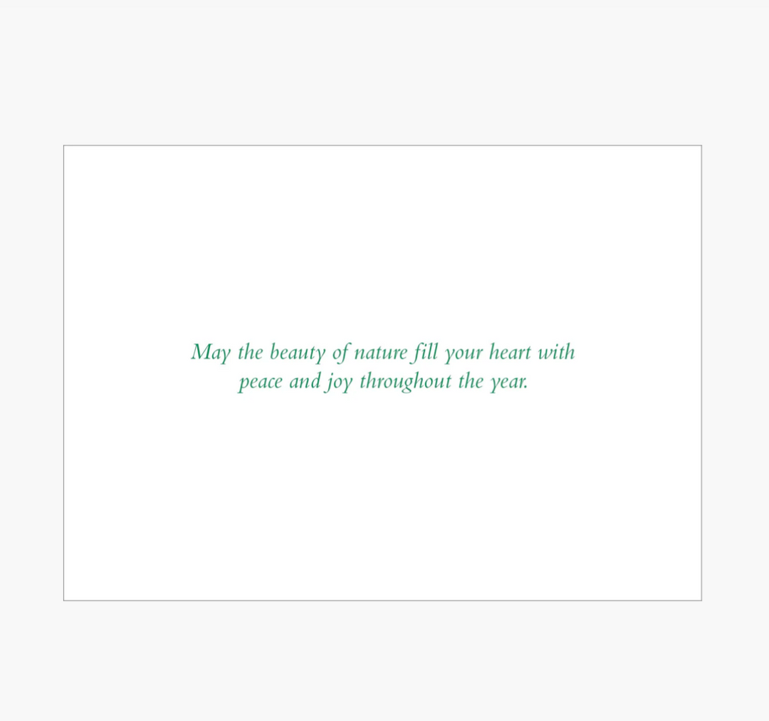 Deluxe Boxed Christmas Cards - Moonlit Forest Friends