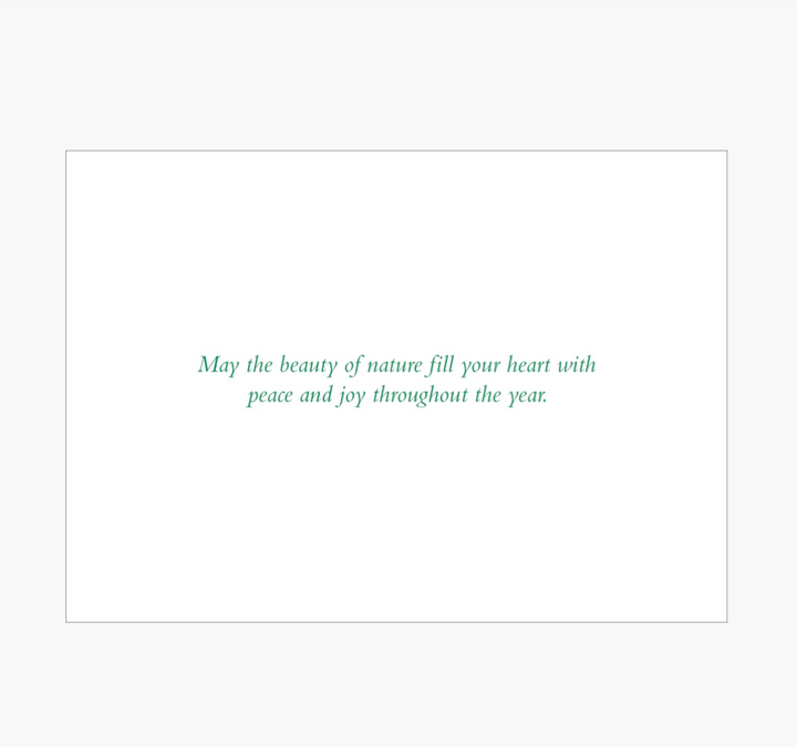 Deluxe Boxed Christmas Cards - Moonlit Forest Friends