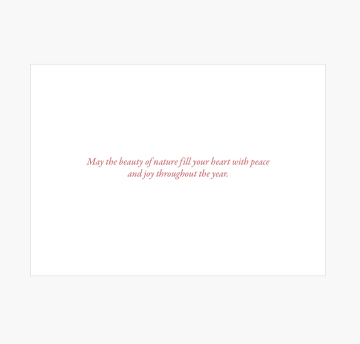 Deluxe Boxed Christmas Cards - Pines In Moonlight