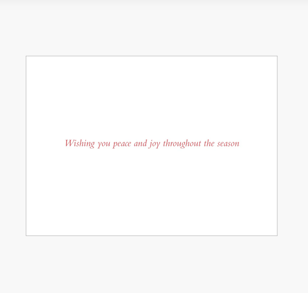 Deluxe Boxed Christmas Cards - Wings of Joy