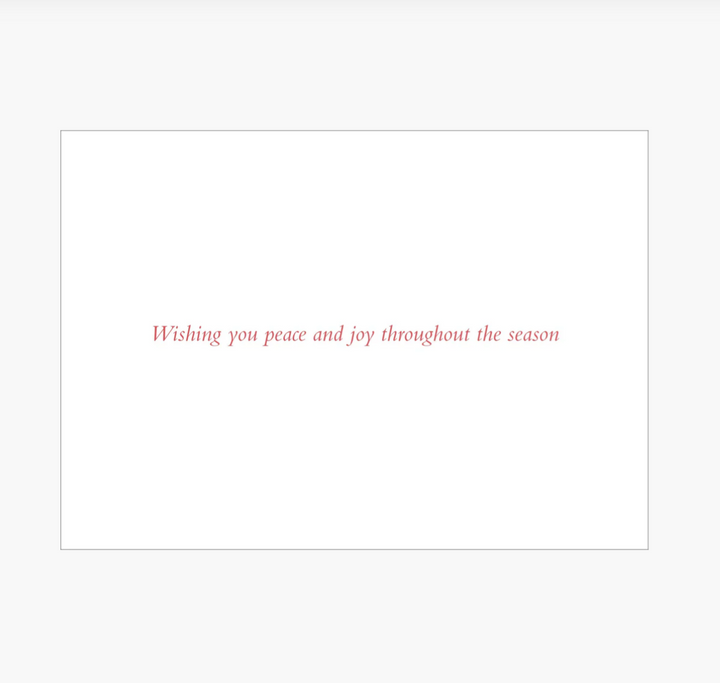 Deluxe Boxed Christmas Cards - Wings of Joy