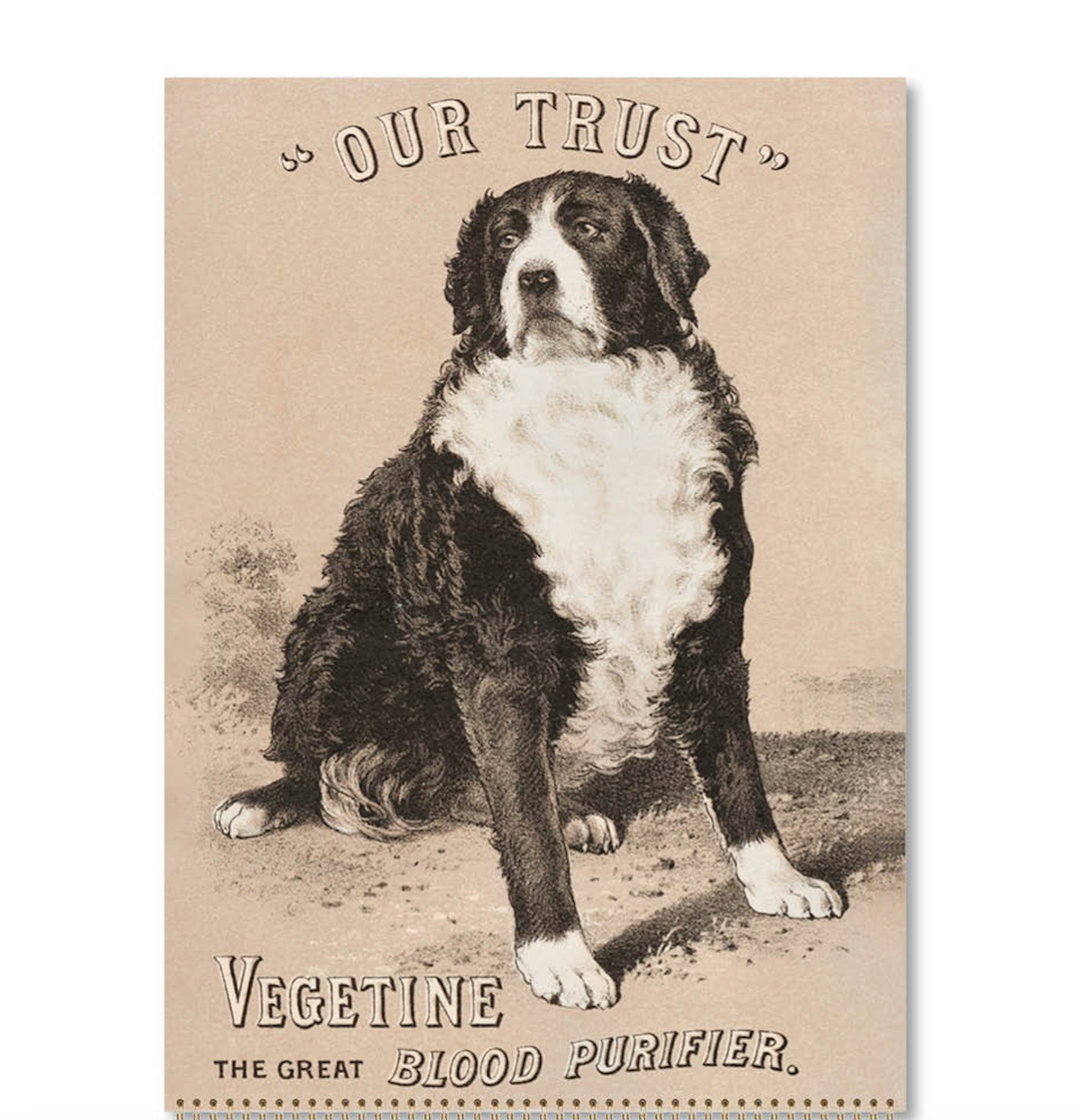 Hello Sunday 2026 Medium Calendar - Vintage Dogs