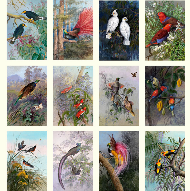 Hello Sunday 2026 Medium Calendar - Ellis Rowan Birds