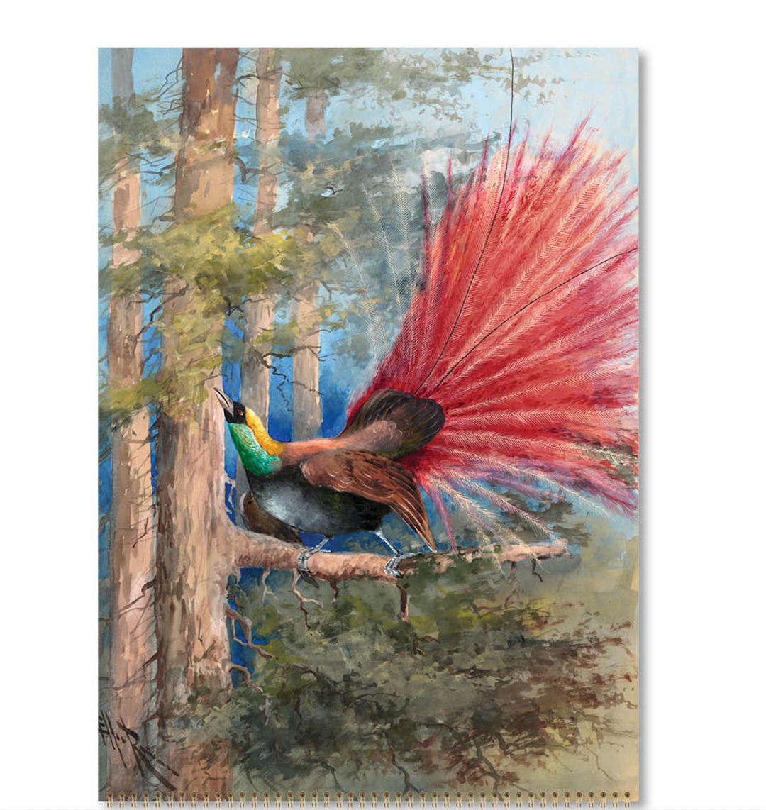 Hello Sunday 2026 Medium Calendar - Ellis Rowan Birds