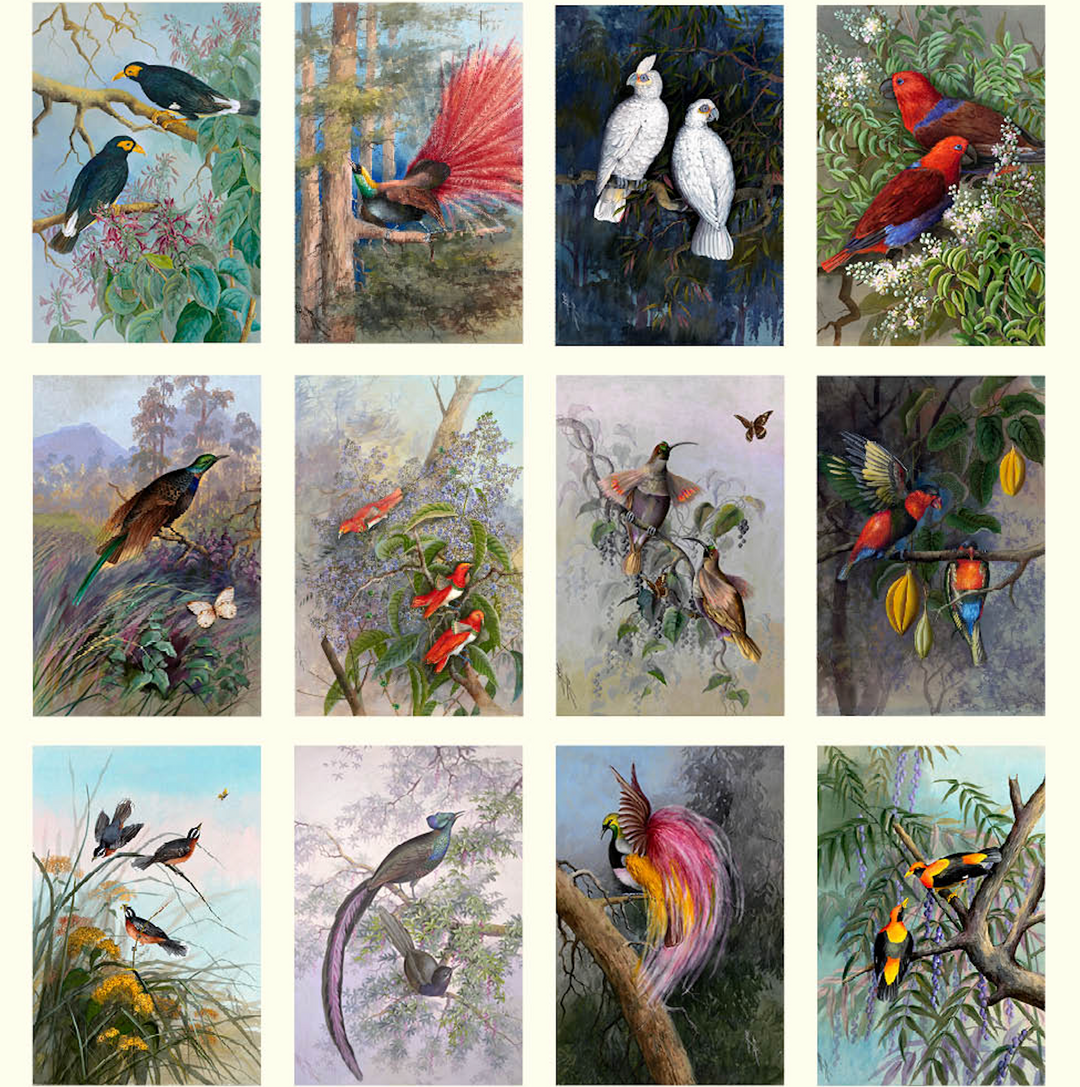 Hello Sunday 2026 Desk Calendar - Ellis Rowan Birds