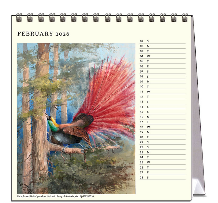 Hello Sunday 2026 Desk Calendar - Ellis Rowan Birds