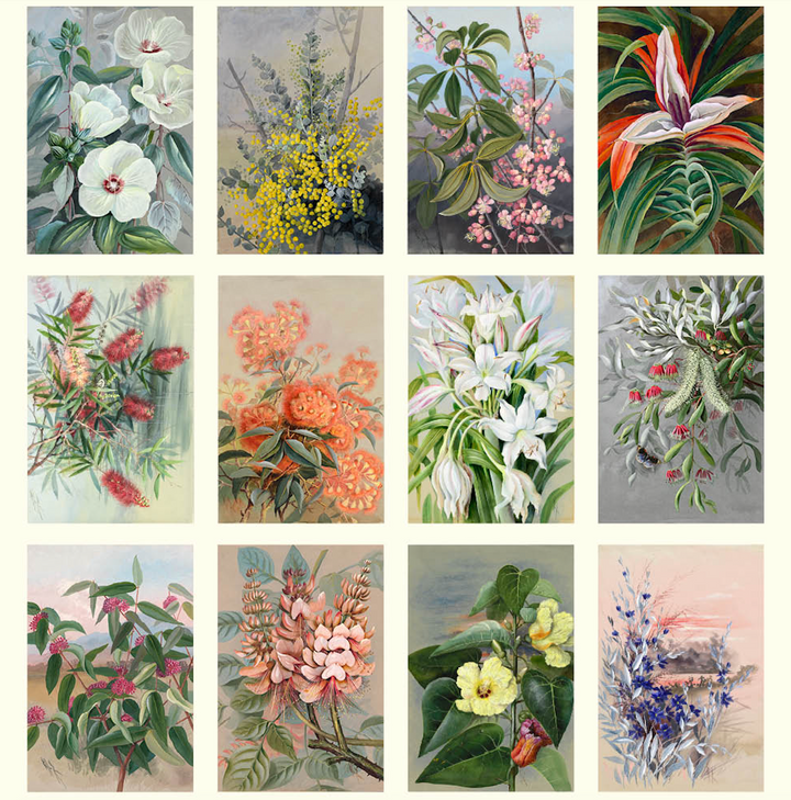 Hello Sunday 2026 Desk Calendar - Ellis Rowan Flowers