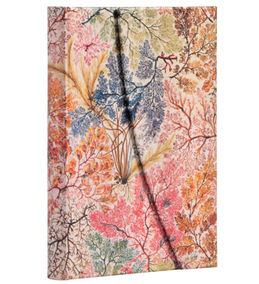 2026 Anemone, Midi, Verso, Hardcover Weekly Diary