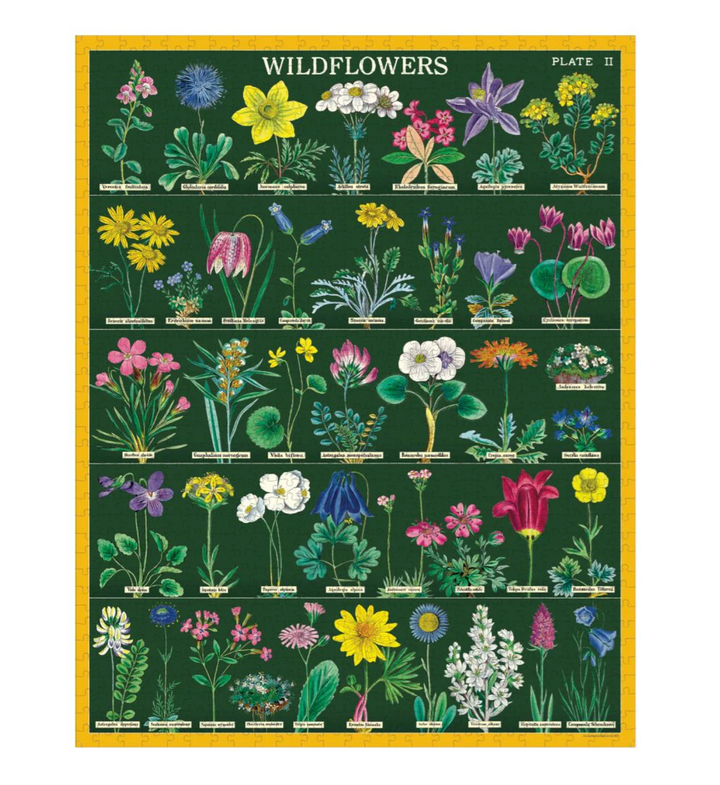 Cavallini & Co. 1000 Piece Puzzle - Wildflowers 2