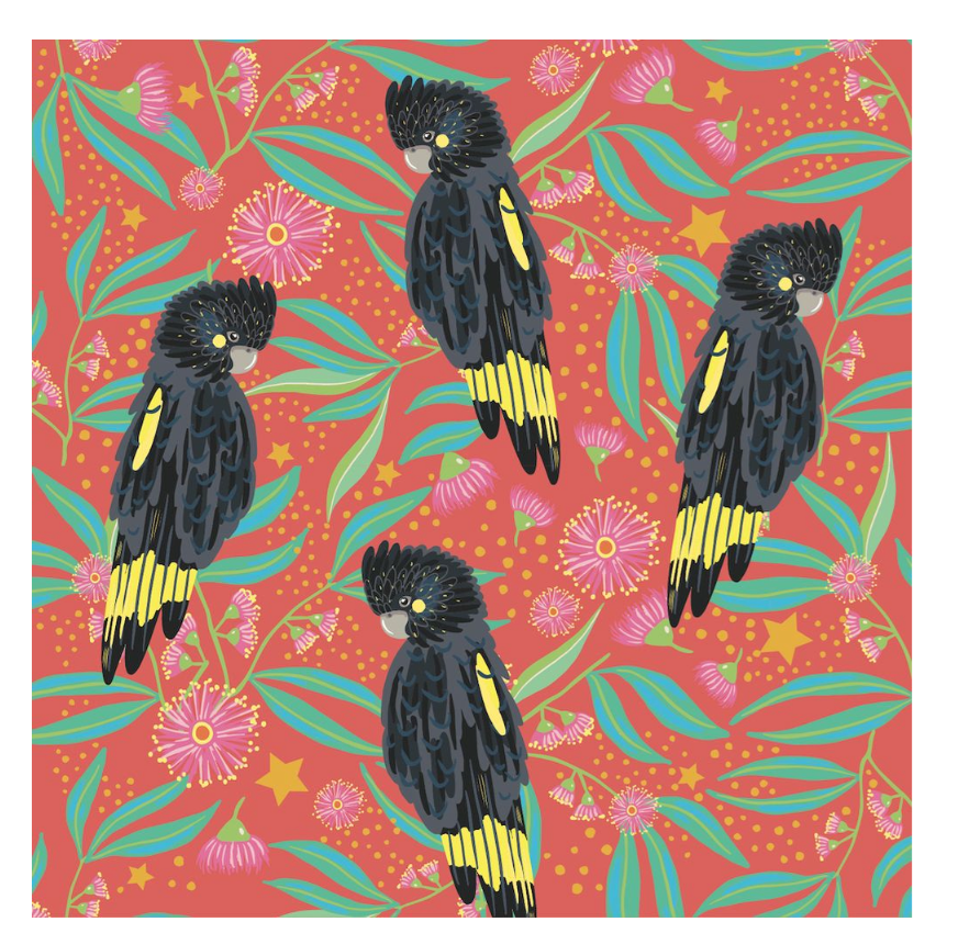 BCNA Christmas Card Pack - Black Cockatoos 11