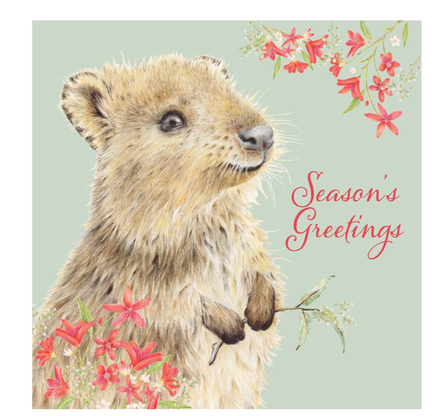 CMRI Christmas Card Pack - Quokka Greetings 17