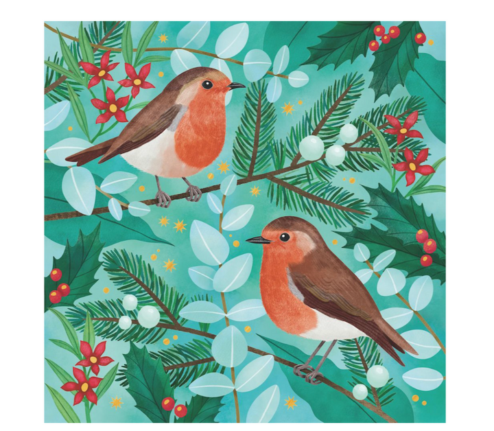 CMRI Christmas Card Pack - Robins 19