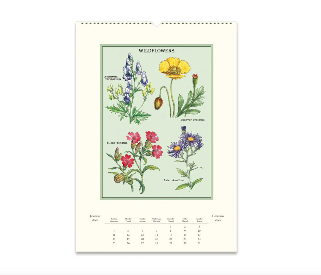 Cavallini 2026 Wall Calendar - Wildflowers