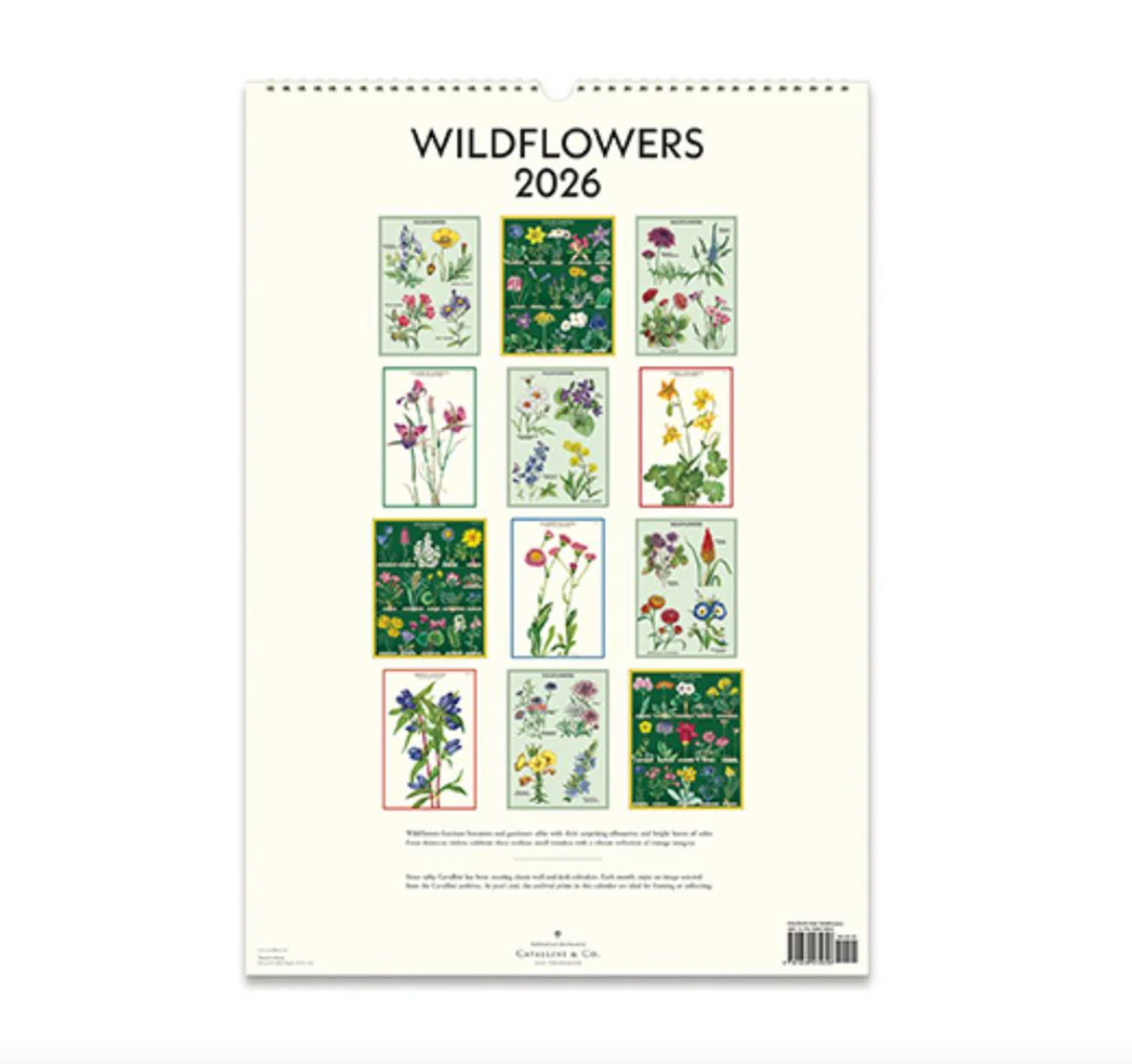 Cavallini 2026 Wall Calendar - Wildflowers