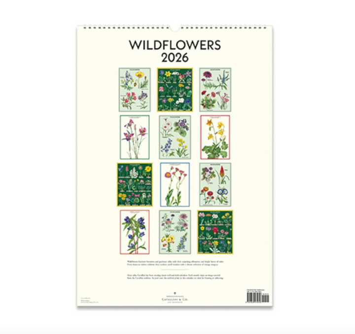 Cavallini 2026 Wall Calendar - Wildflowers
