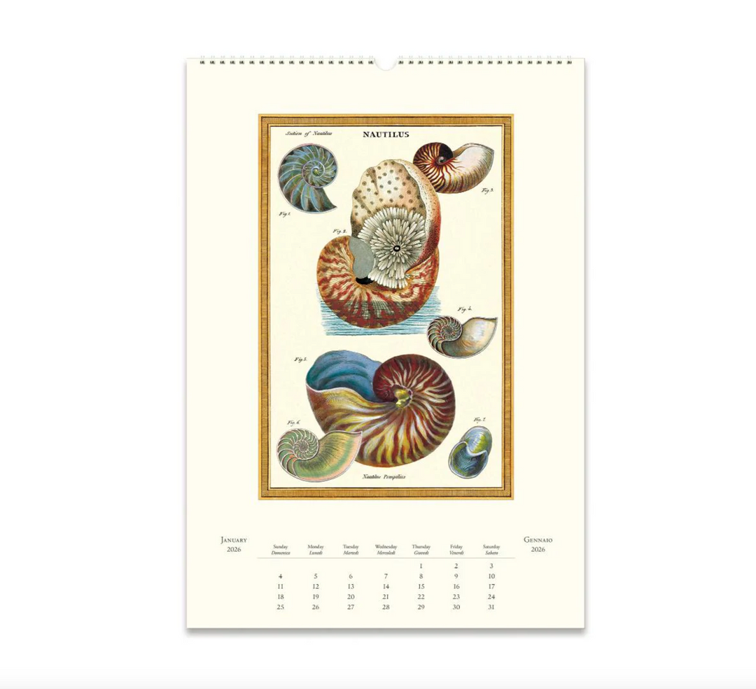 Cavallini 2026 Wall Calendar - Sea Life
