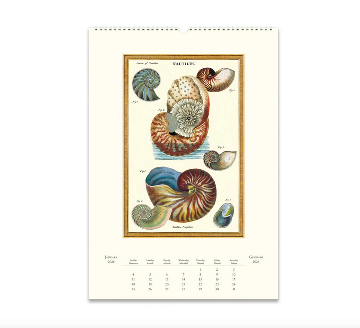Cavallini 2026 Wall Calendar - Sea Life