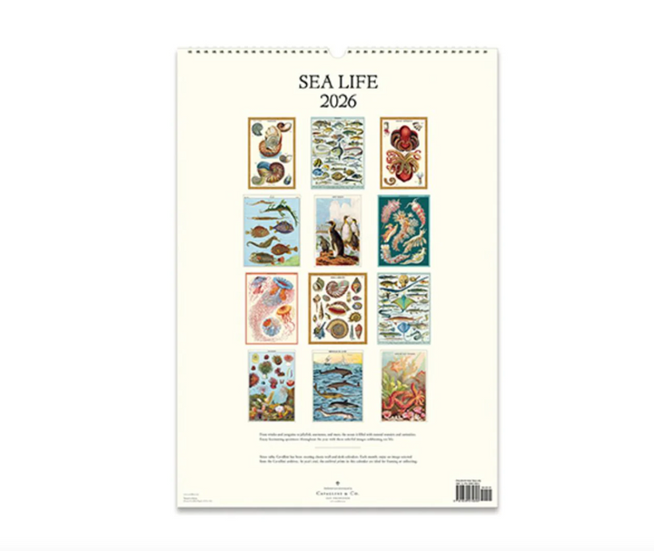 Cavallini 2026 Wall Calendar - Sea Life