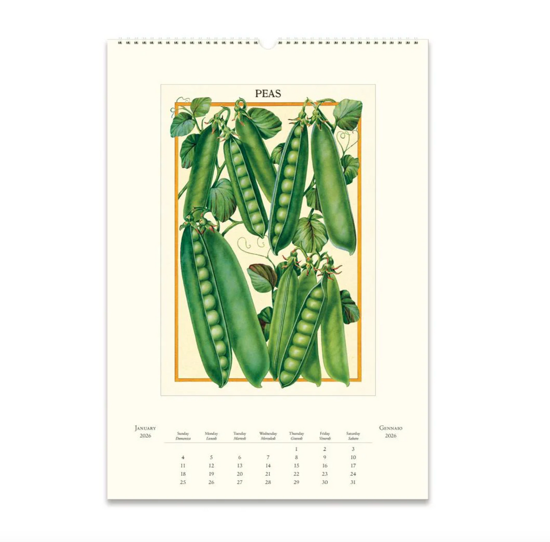 Cavallini 2026 Wall Calendar - Farmer's Market
