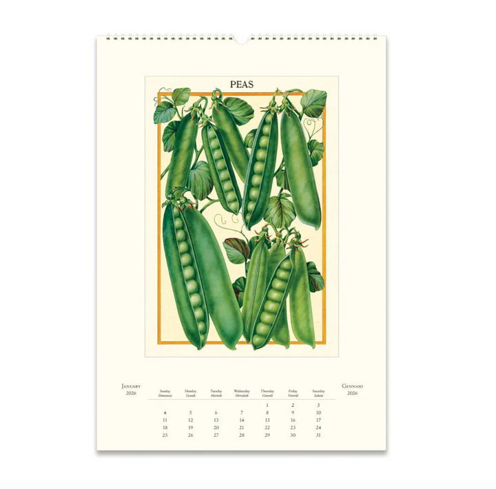 Cavallini 2026 Wall Calendar - Farmer's Market