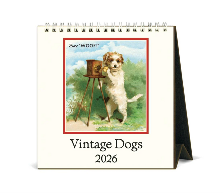 Cavallini 2026 Desk Calendar - Dogs