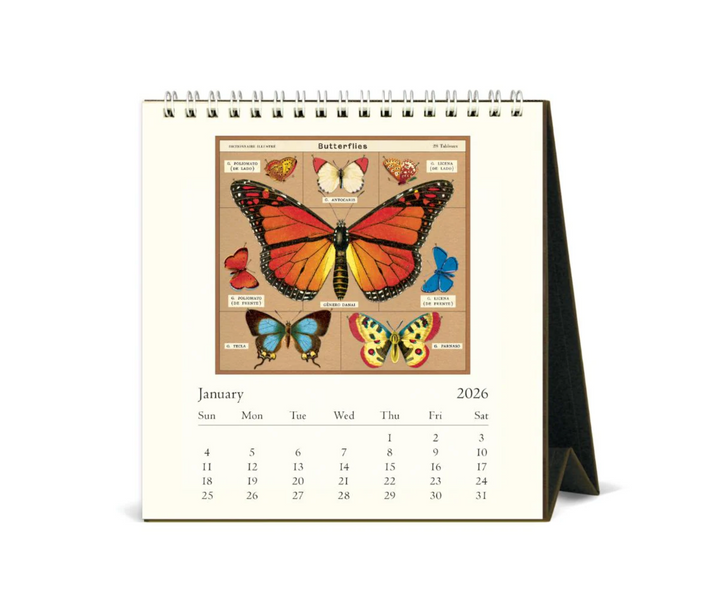Cavallini 2026 Desk Calendar - Butterflies
