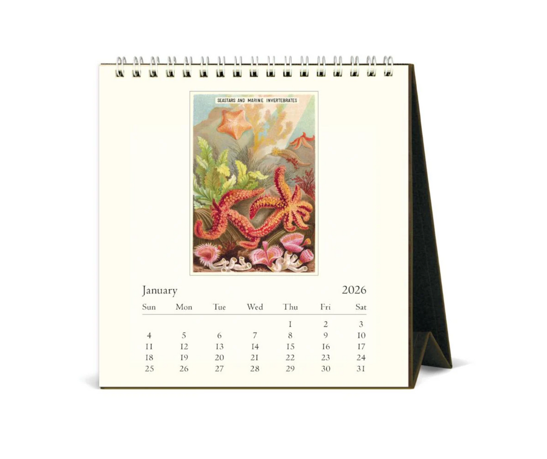 Cavallini 2026 Desk Calendar - Sea Life