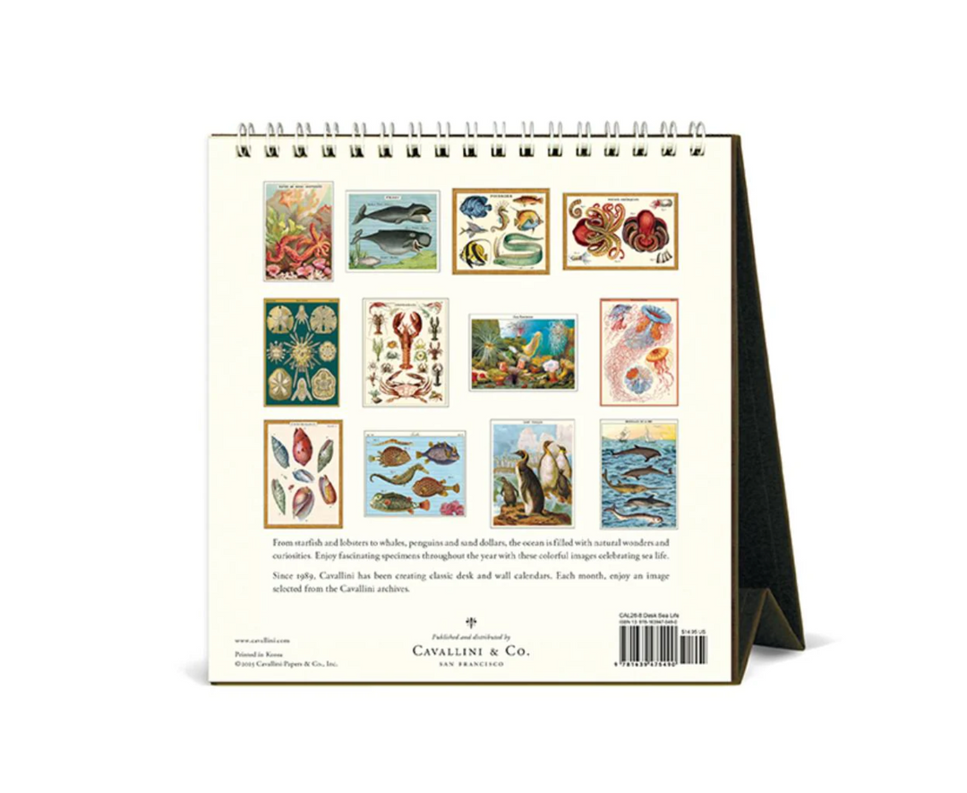 Cavallini 2026 Desk Calendar - Sea Life